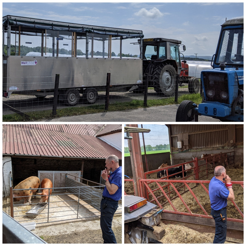 旅行一日目　[Briarlands Farm]